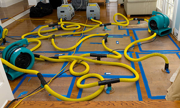 Professional Crawl Space Water Removal technician working in Carlton, PA
